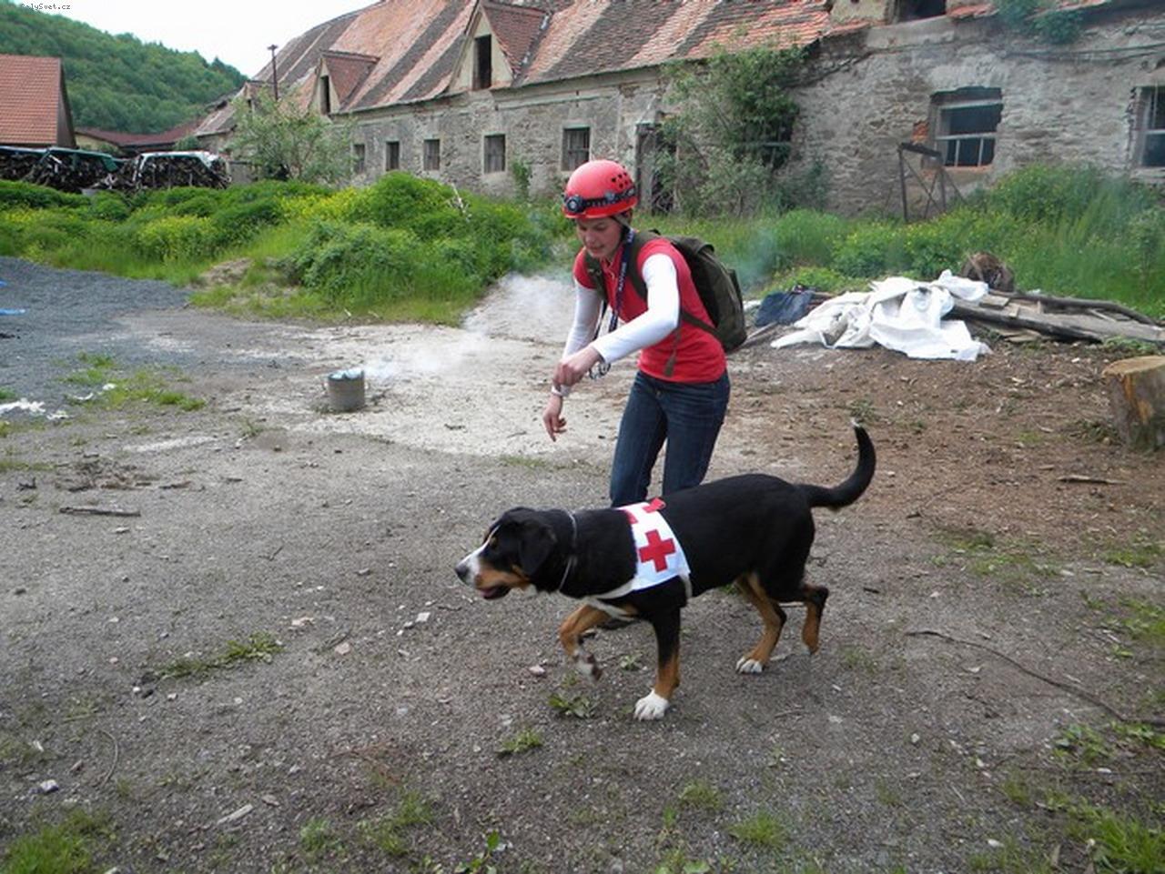 Foto: Angie zachraňuje-i lidi v sutinách najdu