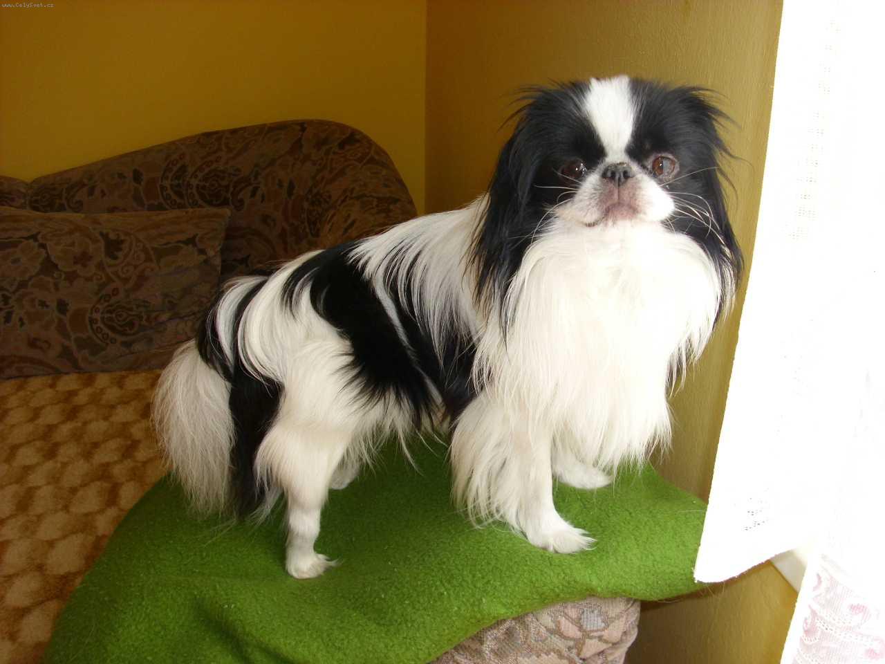 Foto: Čikoušek-oblíbené místečko