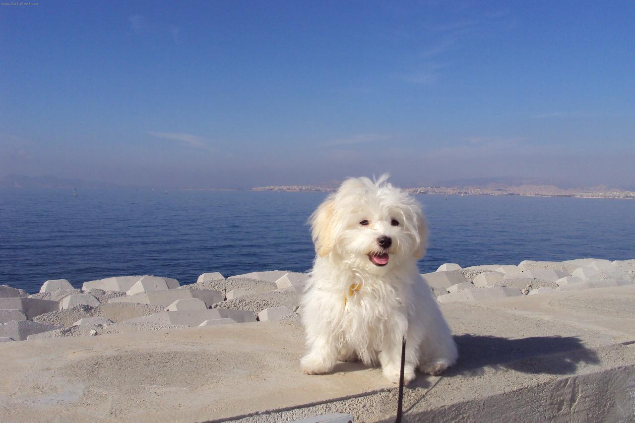 Foto: Ami-Žiju v Aténách