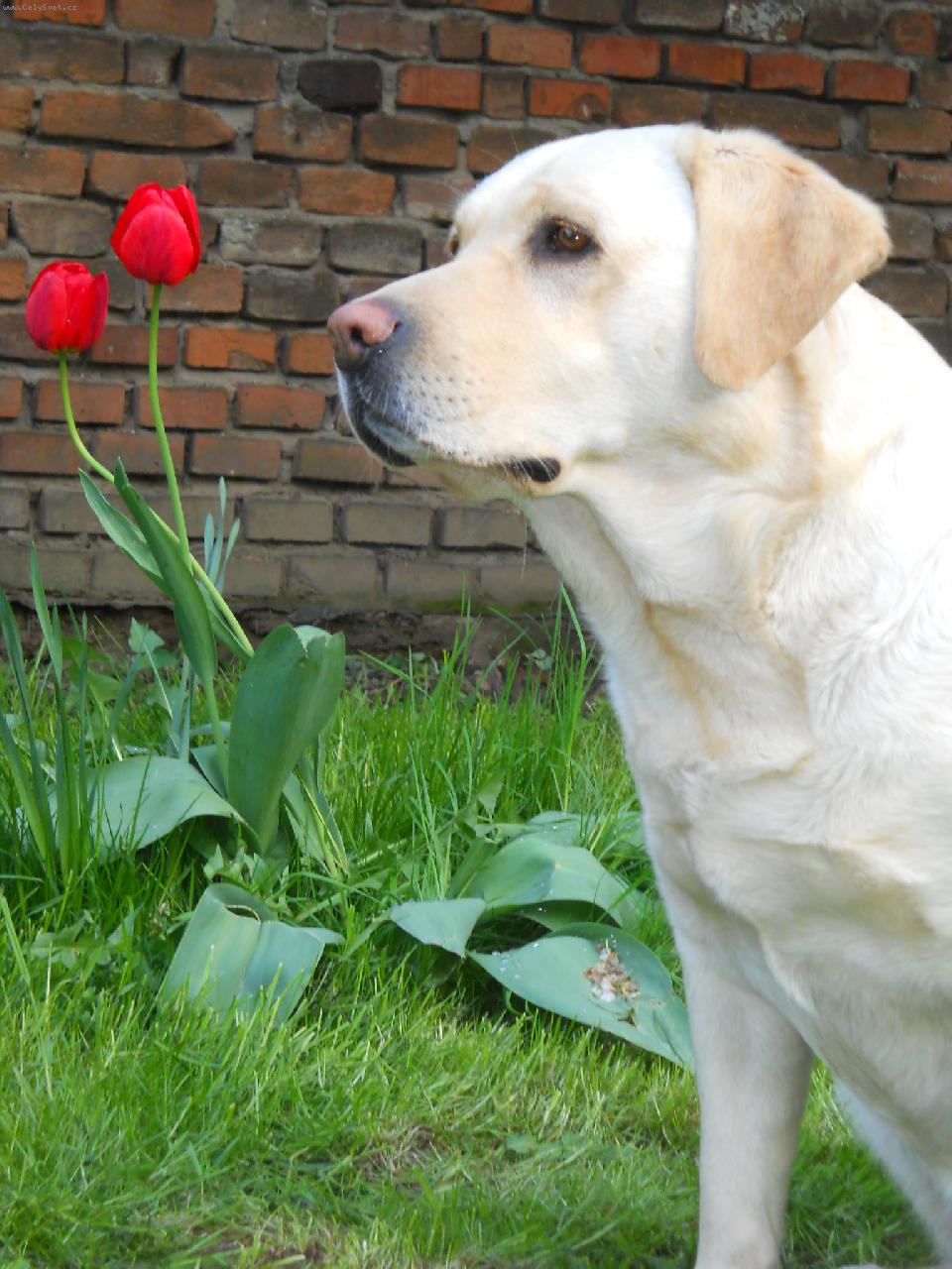 Foto: Roxy