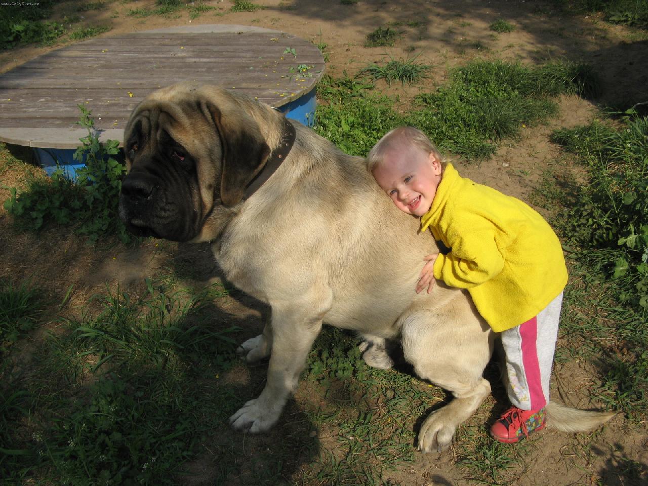 Foto: mám tě táááákhle rád-Bracouš a Tomášek
