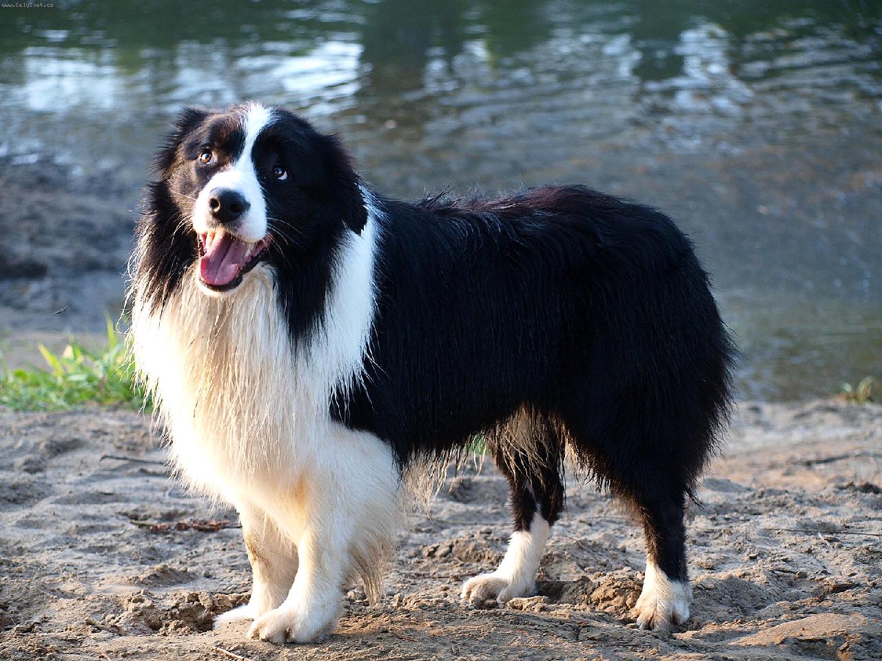 Foto: Vysmátej Apollo-Vysmátej Apollo