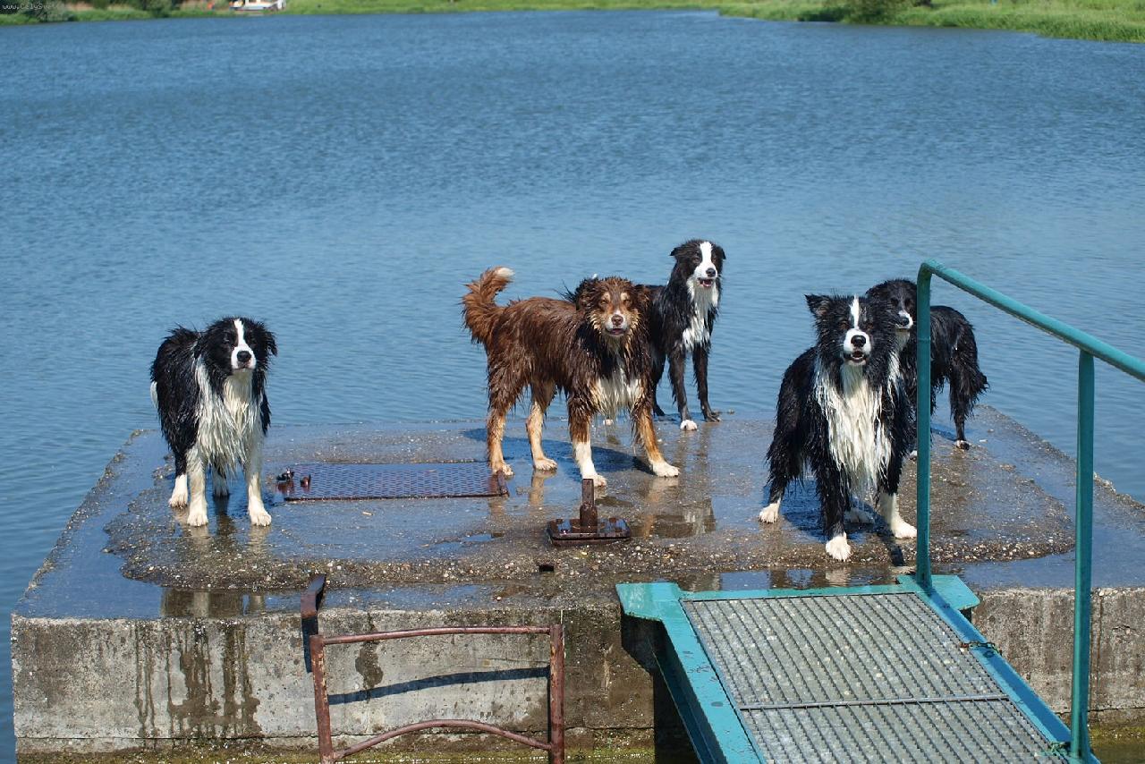 Foto: Bordeří parta z Krmelína-5 Bordeřích kamarádů z Krmelína