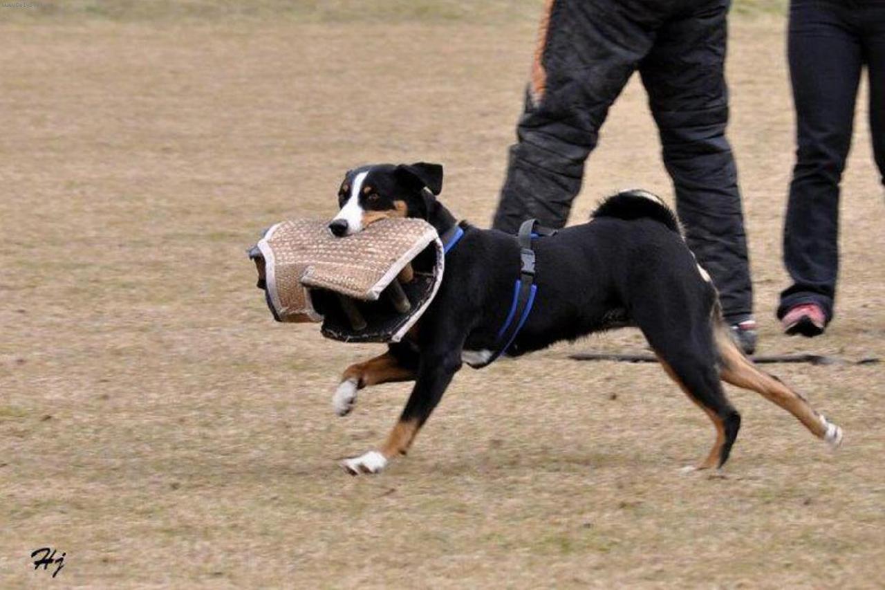 Foto: Abora z Velkého Újezda-nácvik obrany 2011