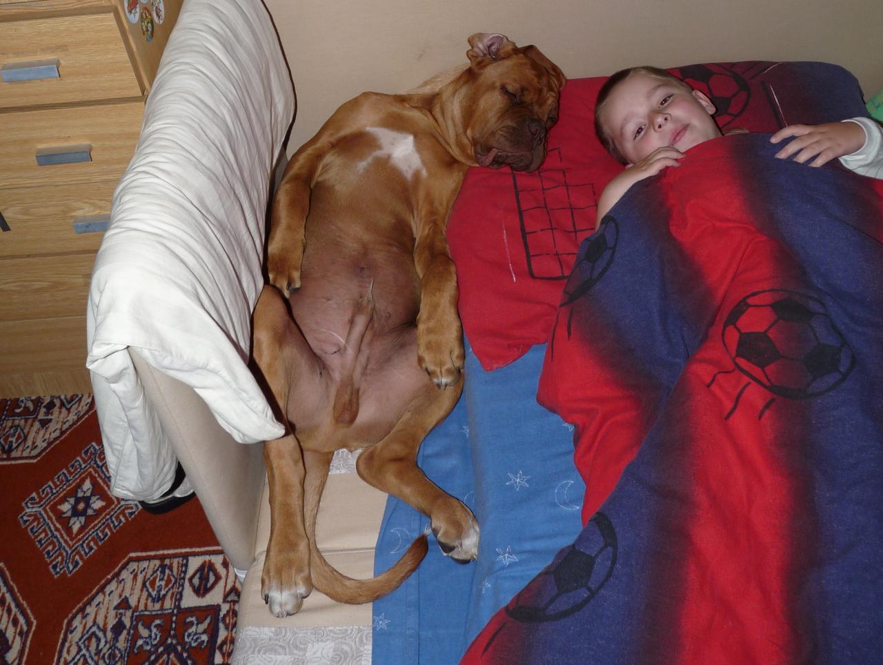 Foto: Jako bráškové