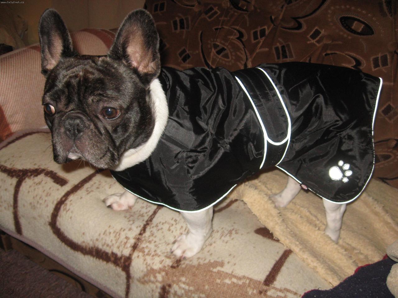 Foto: Manekýnka Andulka z Dýšiny-Nový kabátek do nepohody