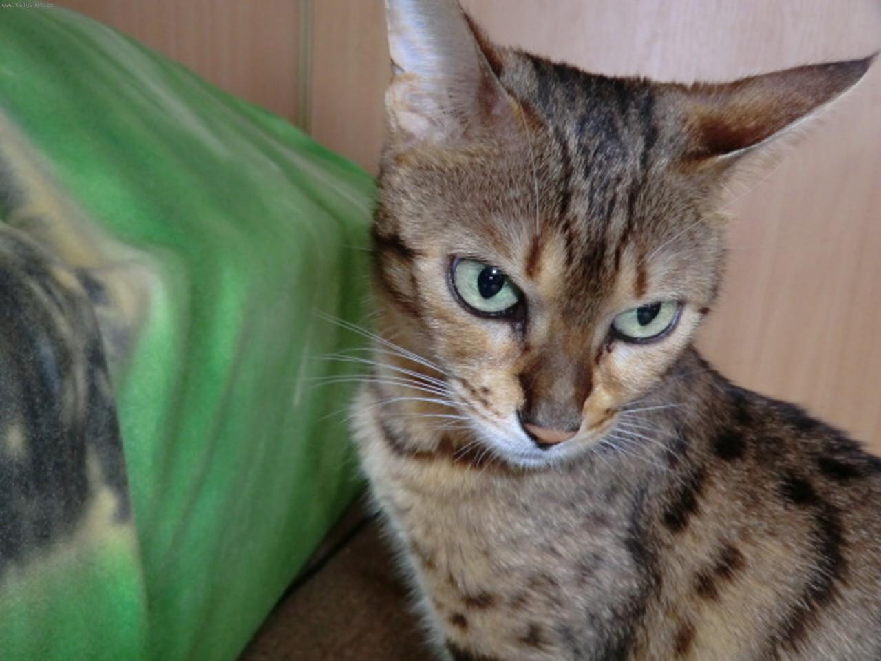 Foto: Rebeka.-To je k zamyšlení!