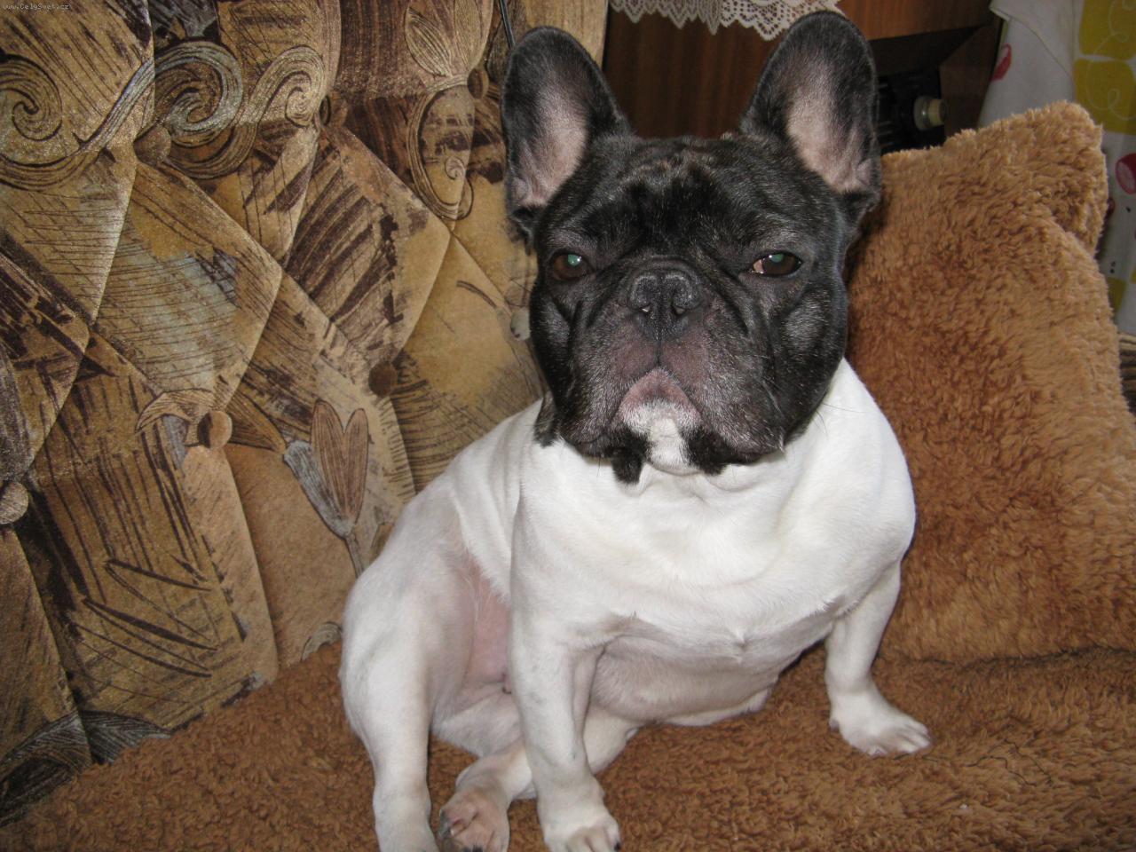 Foto: Andulka z Dýšiny-Posezení v kruhu rodinky , to je moje .