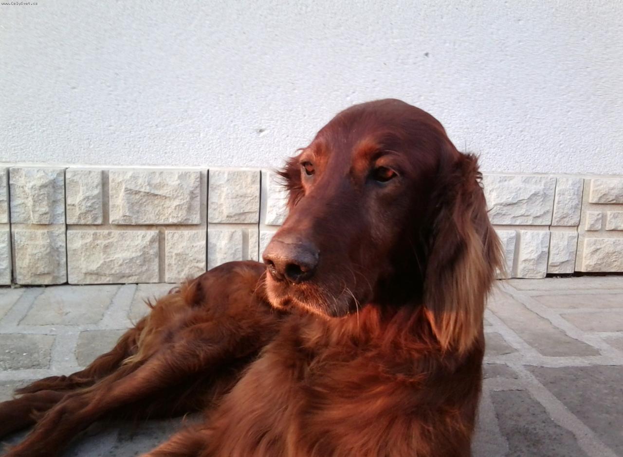 Foto: Náš Edoušek