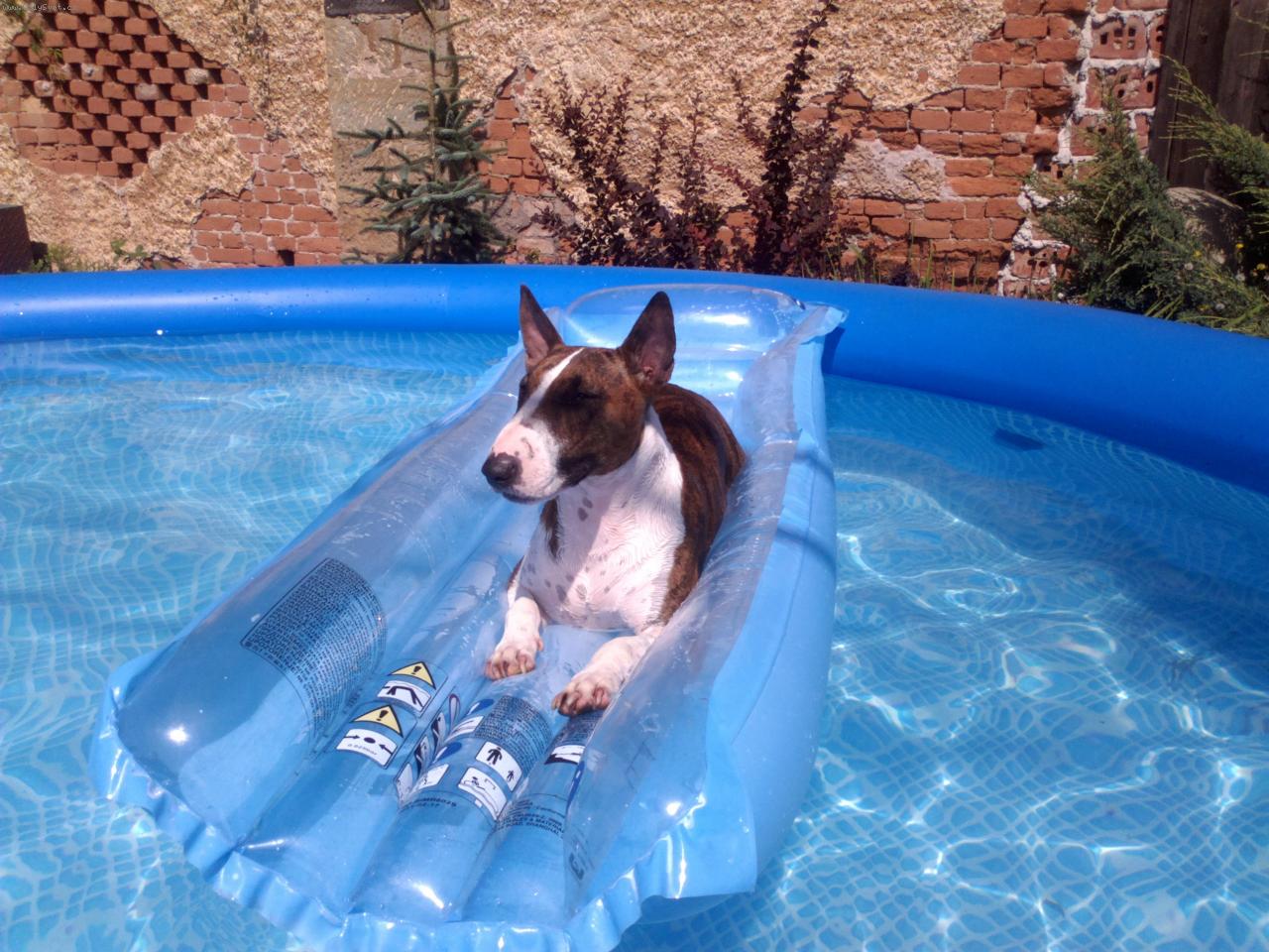 Foto: Bazén-Nelinka