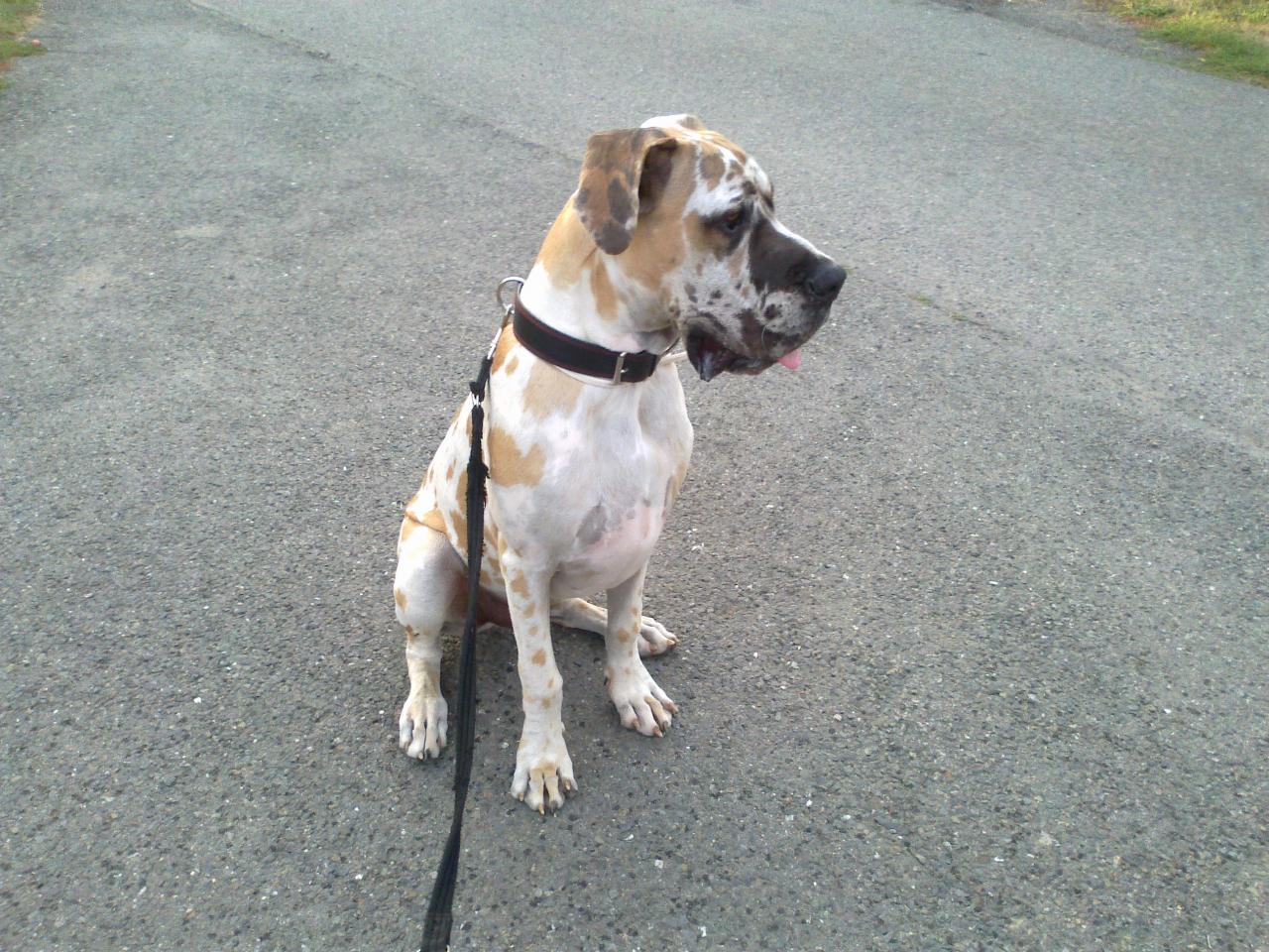 Foto: prostě miláček