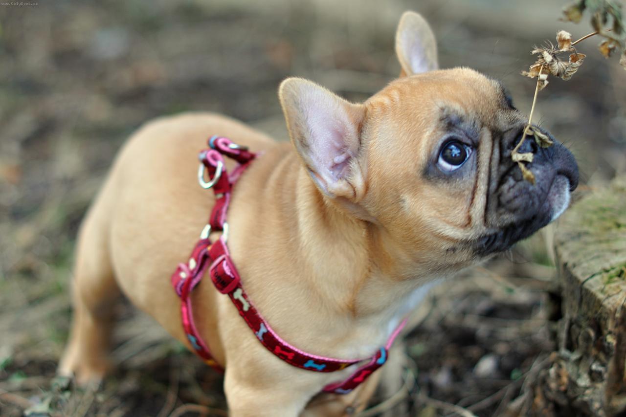 Foto: Boženka-Boženka venku