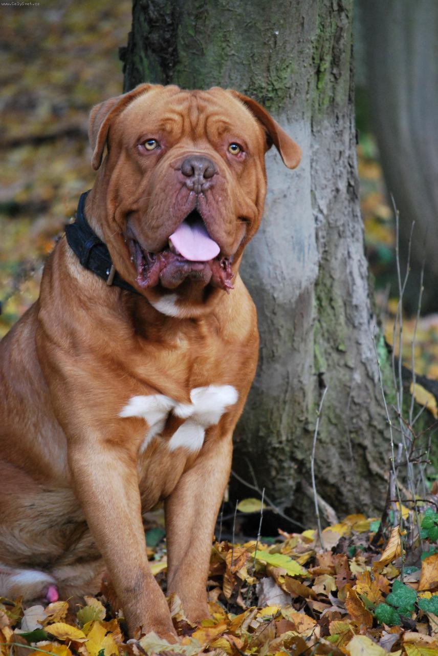 Foto: Arxio-ARXÍK 2 ROKY