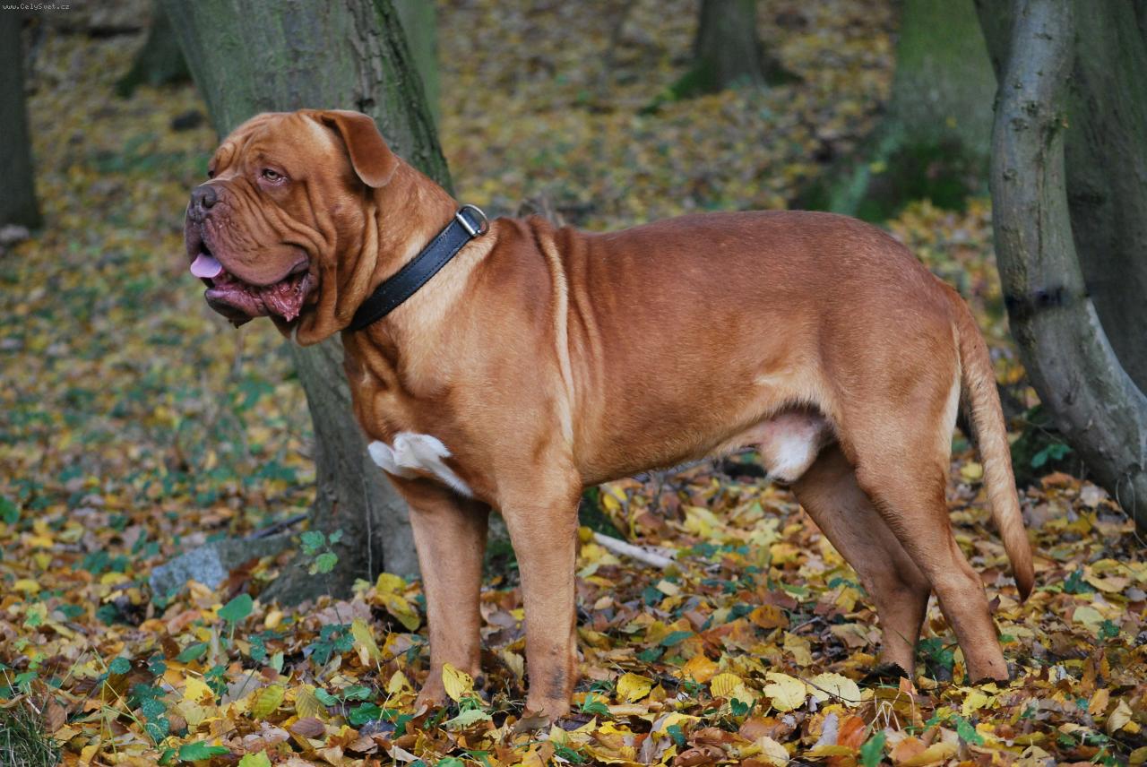 Foto: Arxio-V celé své kráse