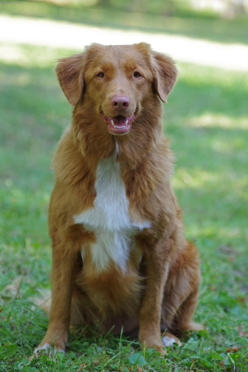 Foto: Romy Rudolfovská skála