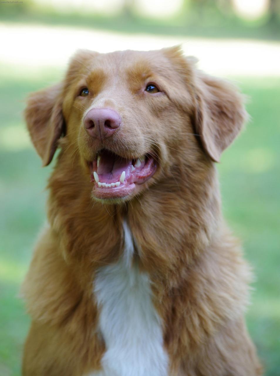 Foto: Romy Rudolfovská skála - Bára