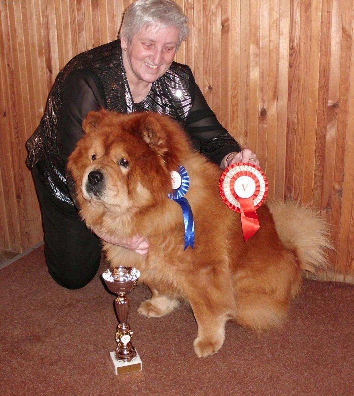 Foto: trofeje ze zahraničí-šampion šampionů Slovensko