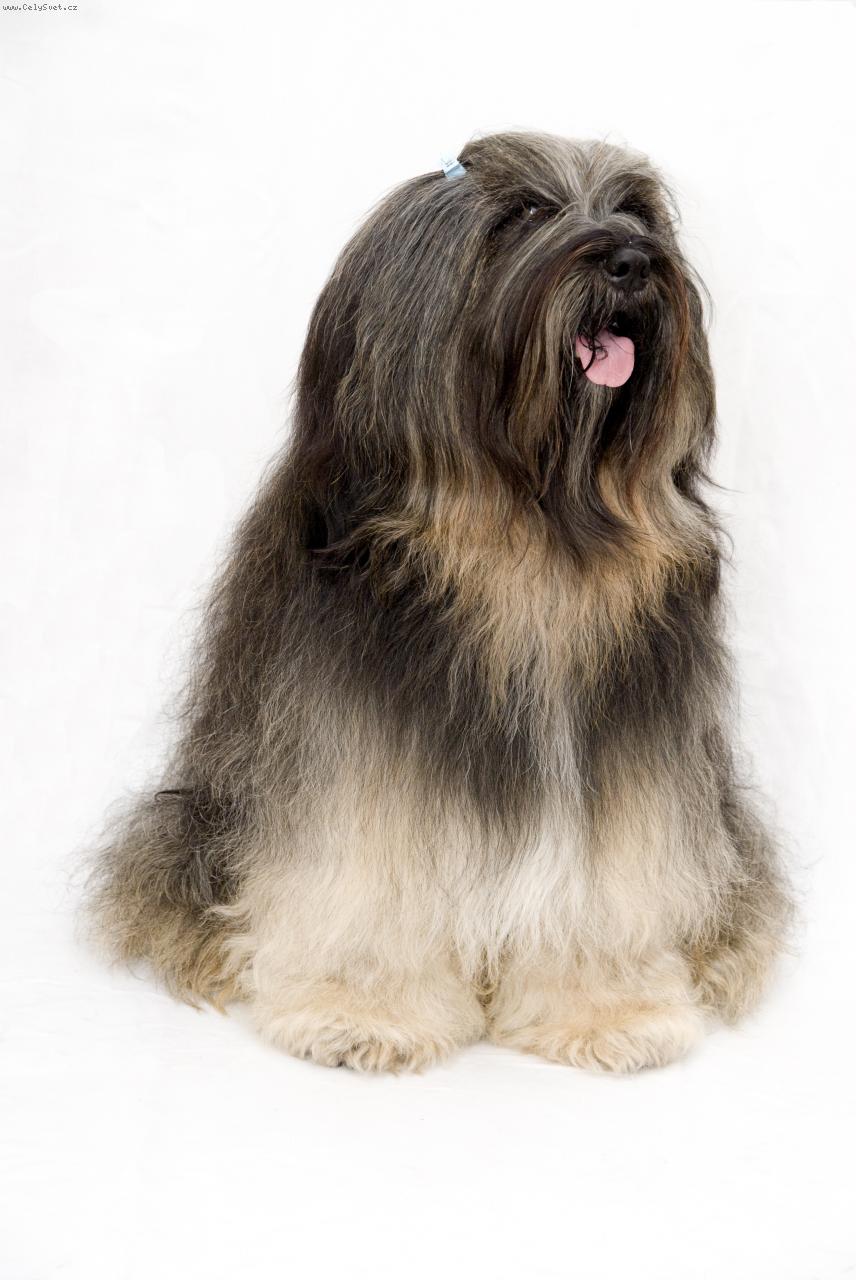 Foto: C´Siddhi Kipu Khyim