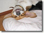 Je to paráda lehnout si na záda :)