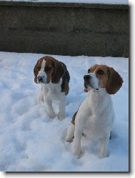 Ve dvou se to lépe táhne :)