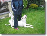 Kampak ten pamlsek panička schovala???