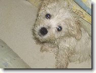 Nemám rád koupání....