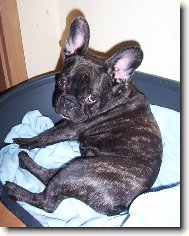 Rozárka 5 měsíců