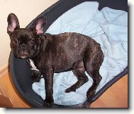 Rozárka 5 měsíců