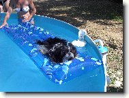 Tak si užívám na chatě já!