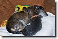 Staroušek Čendík a mimino Tobík :-)