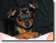 Poprvé doma - 7 týdnů