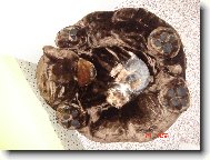 super poleženíčko