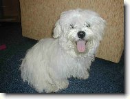 To mám ale pěknej jazíček že?