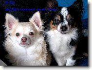 Fredi a Endy Chomutovský Amorek