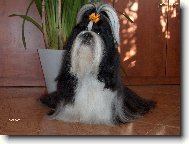 Bude to trvat ještě dlouho?