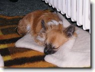 Tepelný akumulátor