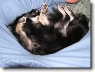 Tepelný akumulátor 2