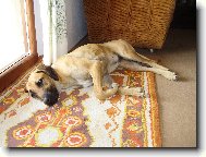 Odpočinek po těžké práci