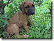 Odpočinek malého průzkumníka