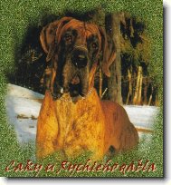 Caky u Rychlého ďábla