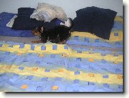 Po koupání se snažím co nejrychleji osušit...