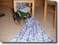 Nejdříve prozkoumám svou novou hračku... \"a je to tunel\"