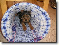 Tohle bude zřejmě vchod:-)