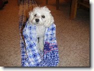 ... pokračování...