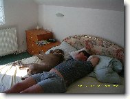 Arny od Vokačovského rybníka