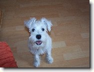 Už mám 3,5 měsíce-úsměv prosím