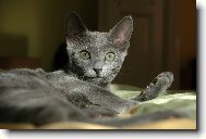 Zahájení odpočinku