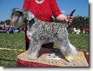 Ch. Flavie z Povodí Oharky