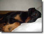 Jsem strašně unavený