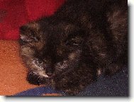 Naše malá \"želvička\"